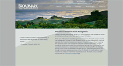 Desktop Screenshot of broadmarkasset.com